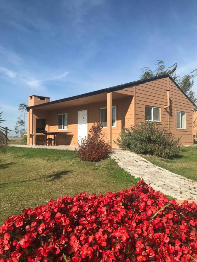Cabanas Las Primorosas Cañuelas Exteriör bild